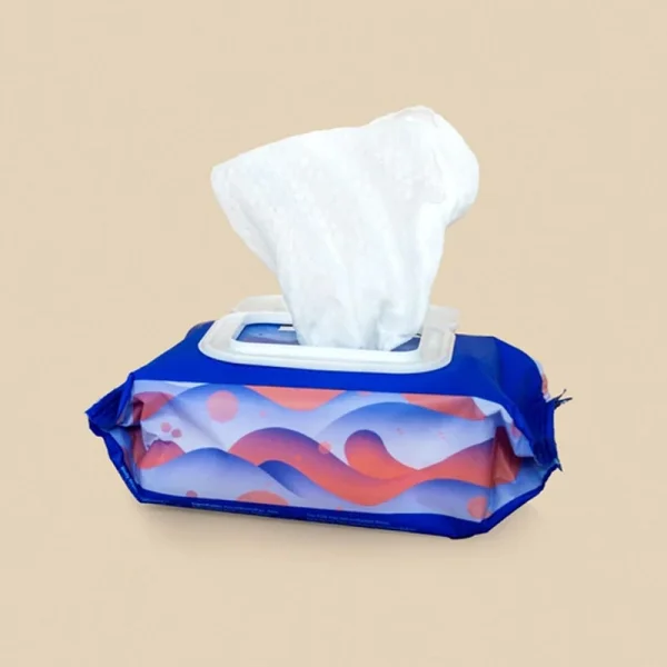 Dame Body Wipes Pouch 25 Count