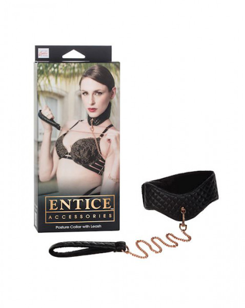 Entice Posture Collar with Leash