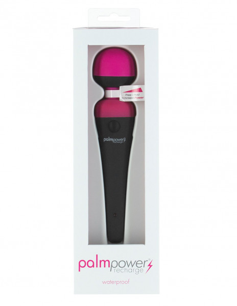 PalmPower Recharge