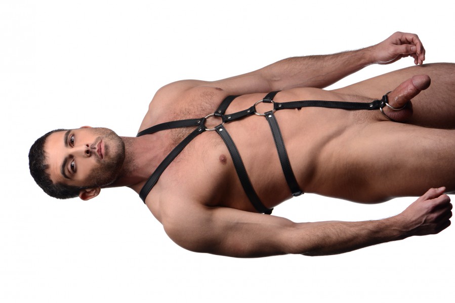 Male Full Body Harness