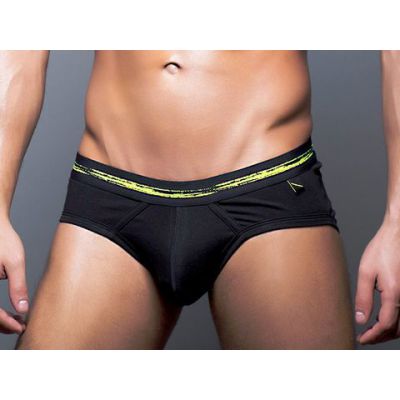 Basix Briefs L