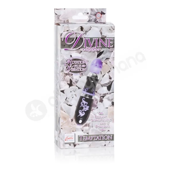 Divine Temptation Purple Vibrating Massager