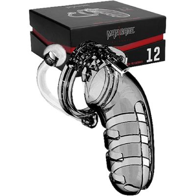 Model 12 Chasity 5 5 Cage With Plug