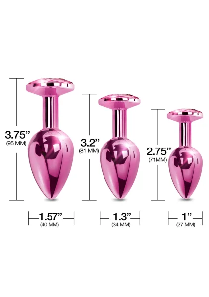 Nixie Metal Butt Plug Trainer Set