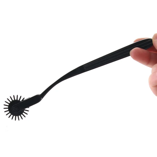Boundless Pleasure Wheel 22 Point Nickle-Free Alloy Pinwheel By CalExotics - Black