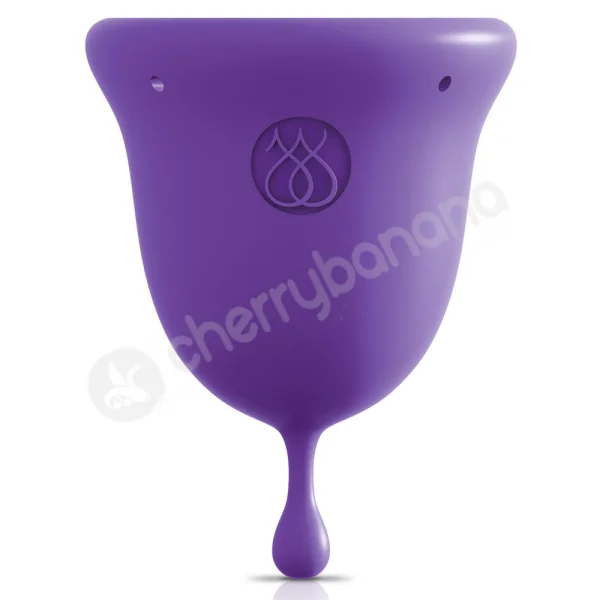 Jimmyjane Intimate Care Purple Menstrual Cups 2 Pack