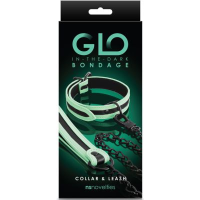Glowing Collar and Leash