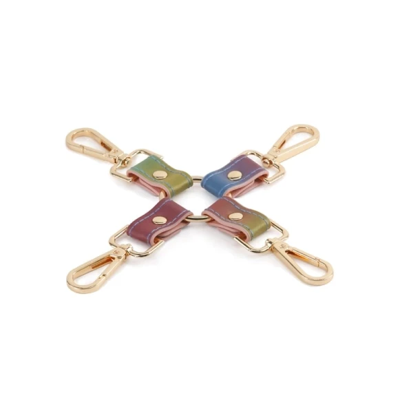 :  Spectra Bondage Hogtie Rainbow