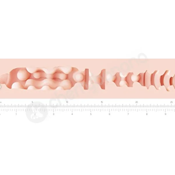 Fleshlight Girls Anikka Albrite Goddess Masturbator