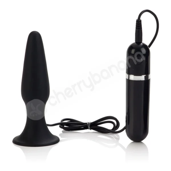 10-function Black Advanced Anal Explorer Kit