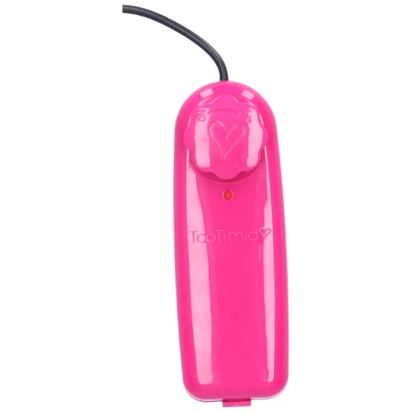 Silver Clit Bullet Power Vibrator (Strong!)