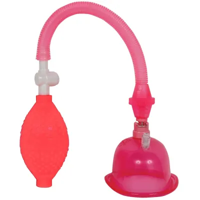 Pussy Pump in a Bag Pink