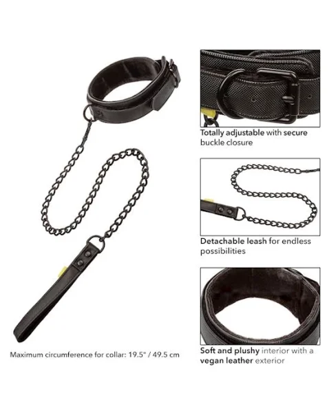 Boundless Collar and Leash