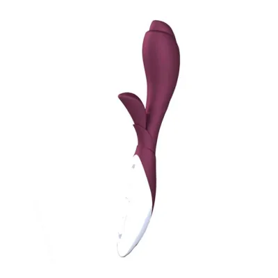 Zini Zook Dark Wine