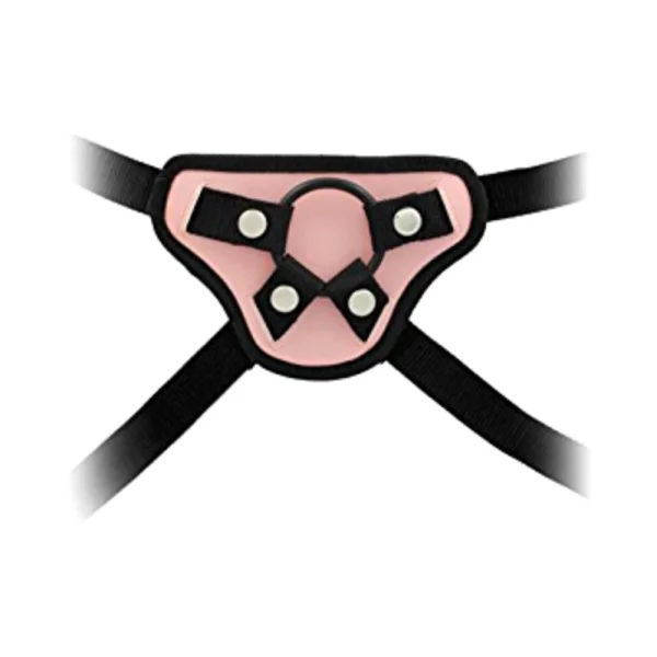 Harness The Revolution