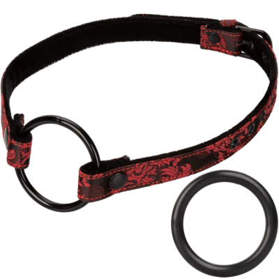 CalExotics Scandal Wide Open Mouth Gag