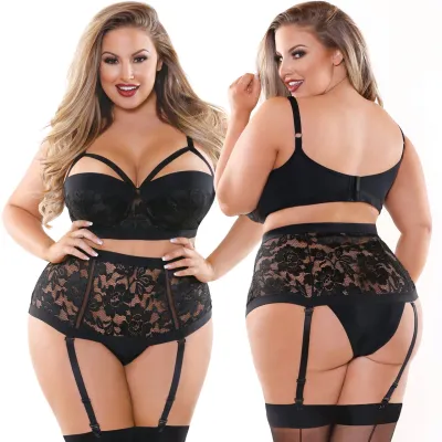 Curve Monique Bra High Waisted Gartered Panty by Fantasy Lingerie