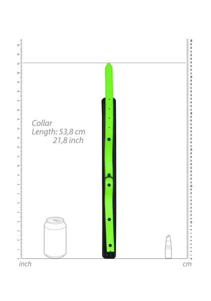 Ouch! Glow In The Dark Collar and Leash