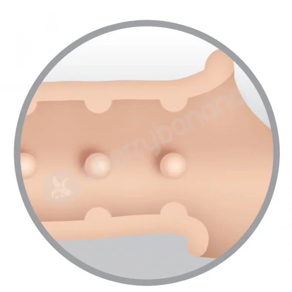 Adam & Eve Adam's Penis Extension With Prostate Probe