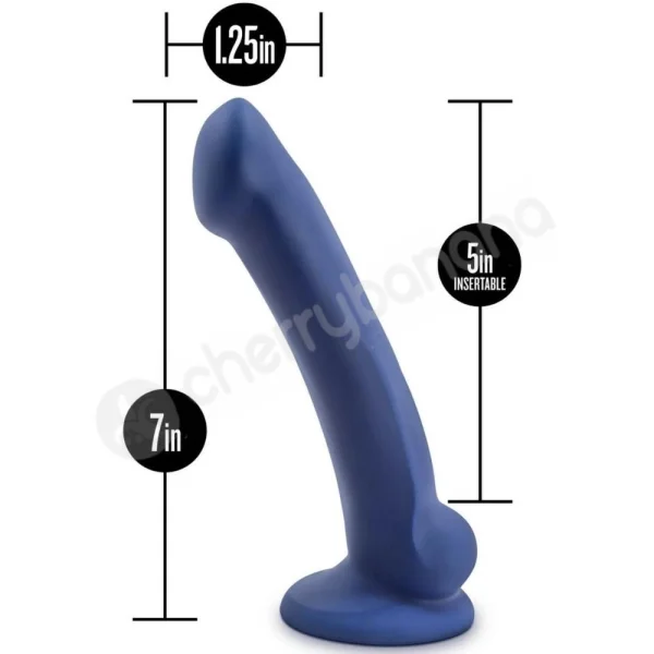 Avant D10 Ergo Mini Blue Dual Density Curved Shaft Dildo