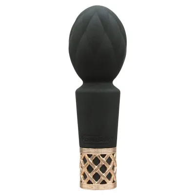 Pillow Talk Secrets Pleasure Wand Silicone Vibrator