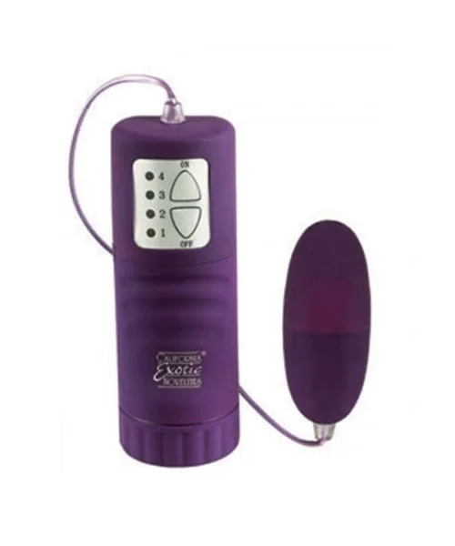 Waterproof Pocket Exotics - Bullet