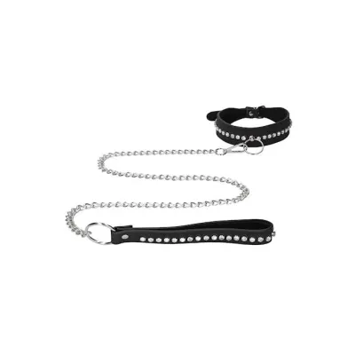 Diamond Studded Collar With Leash