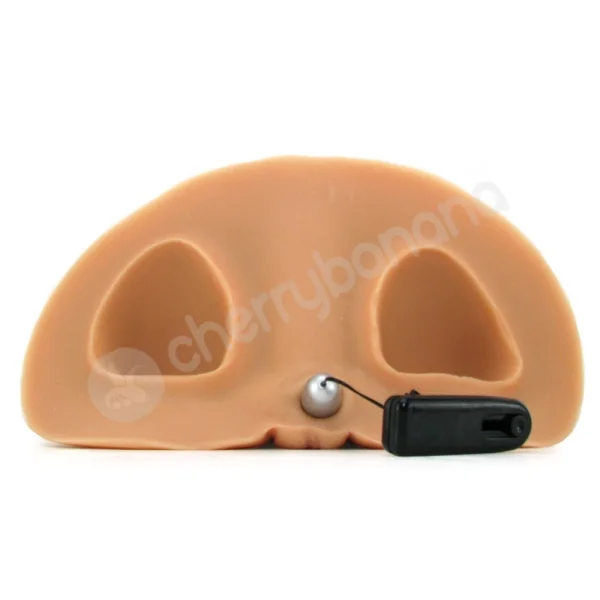 Heather Vandeven Doggy Style Pet Pussy & Ass Masturbator