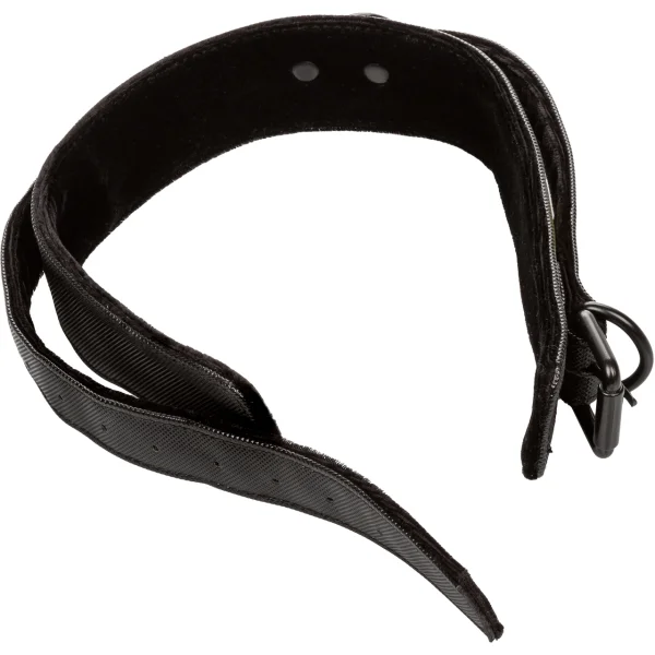 Boundless Collar and Leash