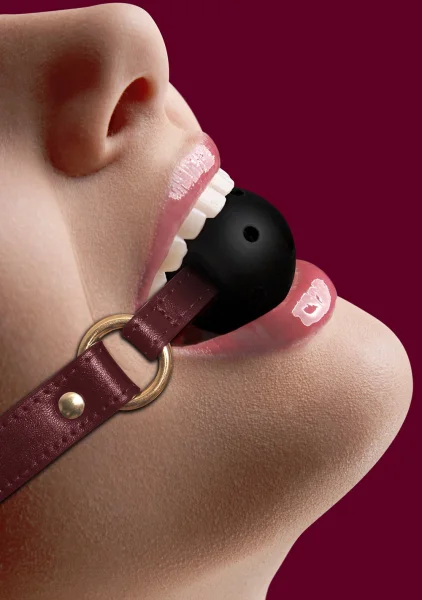 Ouch! Silicone Bone Gag