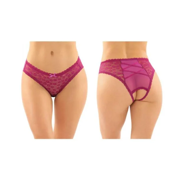 Daisy Crotchless Lace And Mesh Panty With Criss-cross Panel Back 6-pack L/xl Berry