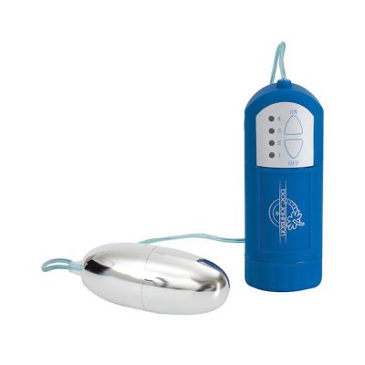 Waterproof Bullet And Remote Blue