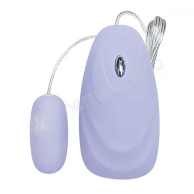 B12 Blue 12 Function Bullet Vibrator Controller