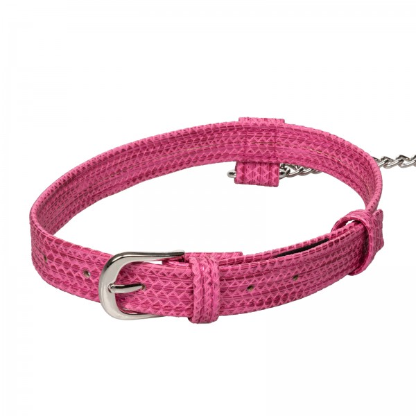 Tickle Me Pink Collar With Leash