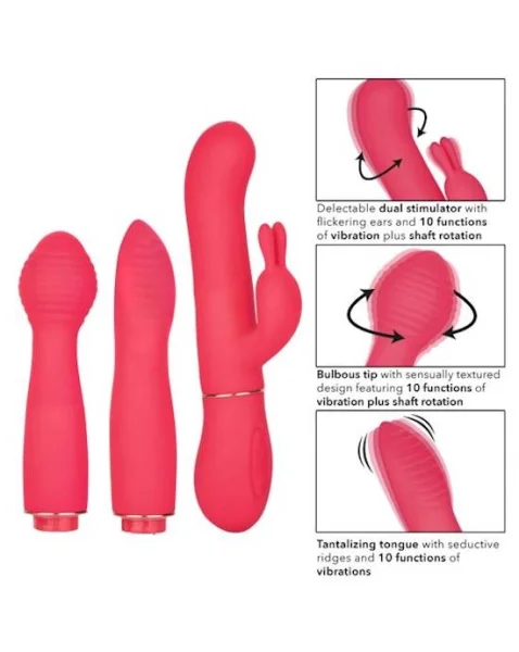 In Touch Dynamic Trio