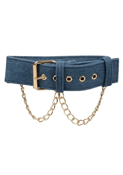 Ride 'em Premium Denim Collection Collar with Leash