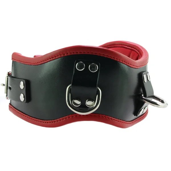 Leather Posture Collar with 3 D-Rings