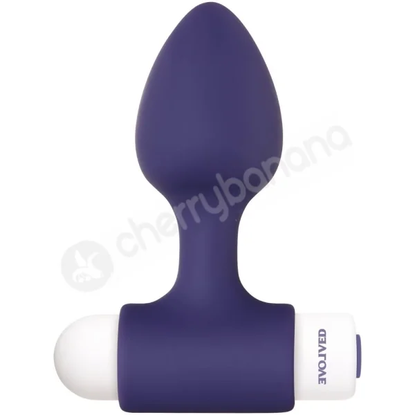 Evolved Dynamic Duo Blue 2 Sized Butt Plugs With Interchangeable Bullet Vibe