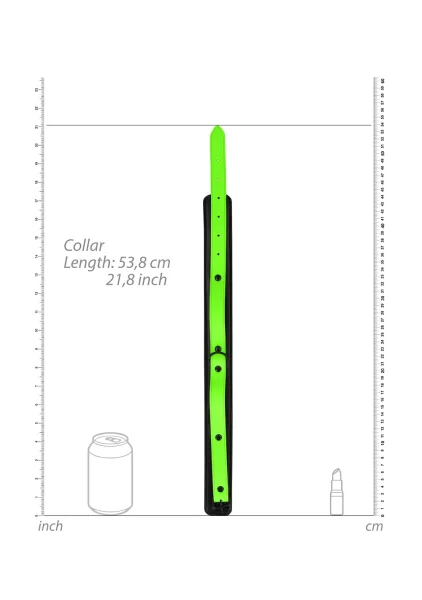 Ouch! Glow In The Dark Collar and Leash