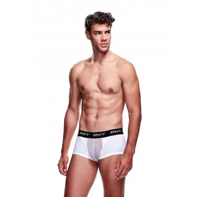 Envy Mesh Short Boxer
