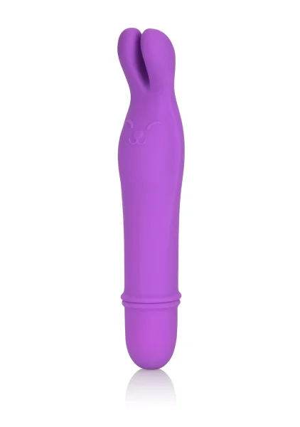 Shane’s World Bedtime Bunny
