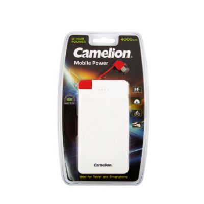 Portable Power 4000mAh USB Charger