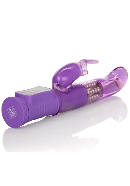 Shanes World Jack Rabbit G - Purple