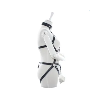 Desire Full Body Harness