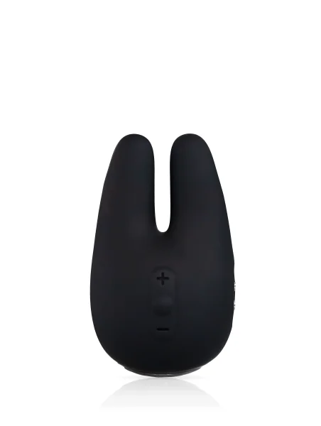 Form 2 Pro™