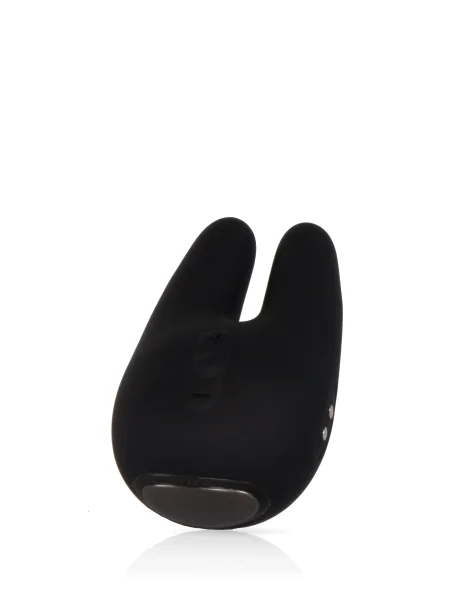 Form 2 Pro™