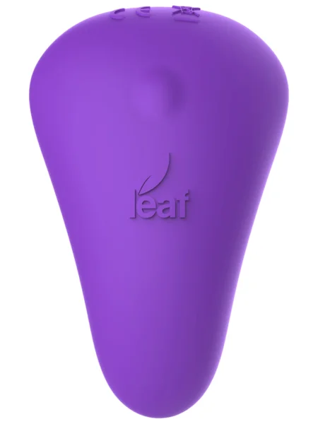 Leaf Plus Spirit Plus with Remote