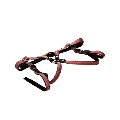 The Regal Duchess Premium Harness