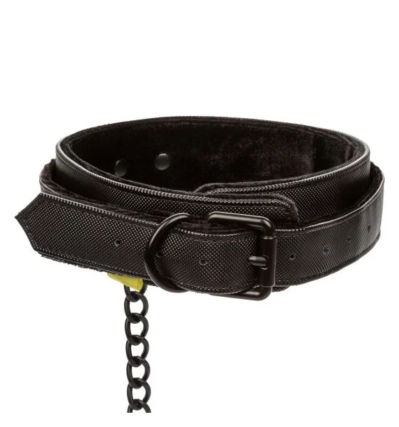 Boundless Collar and Leash