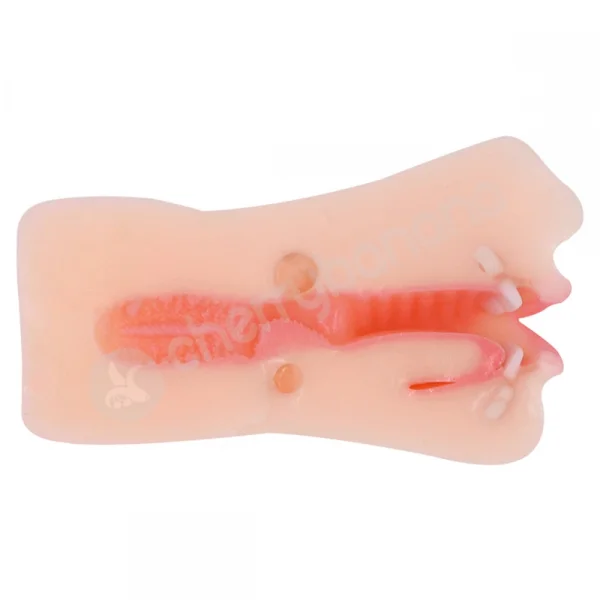 Stroke King Jane Realistic Mouth Masturbator